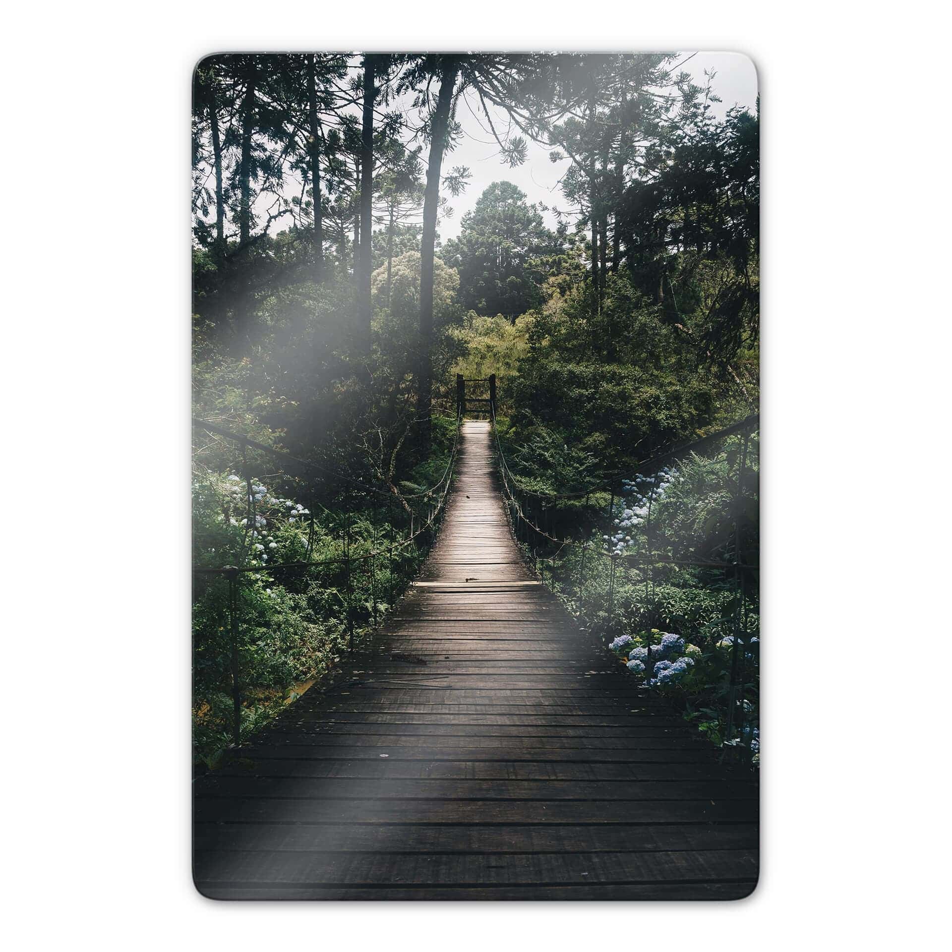 Glasbild Waldweg