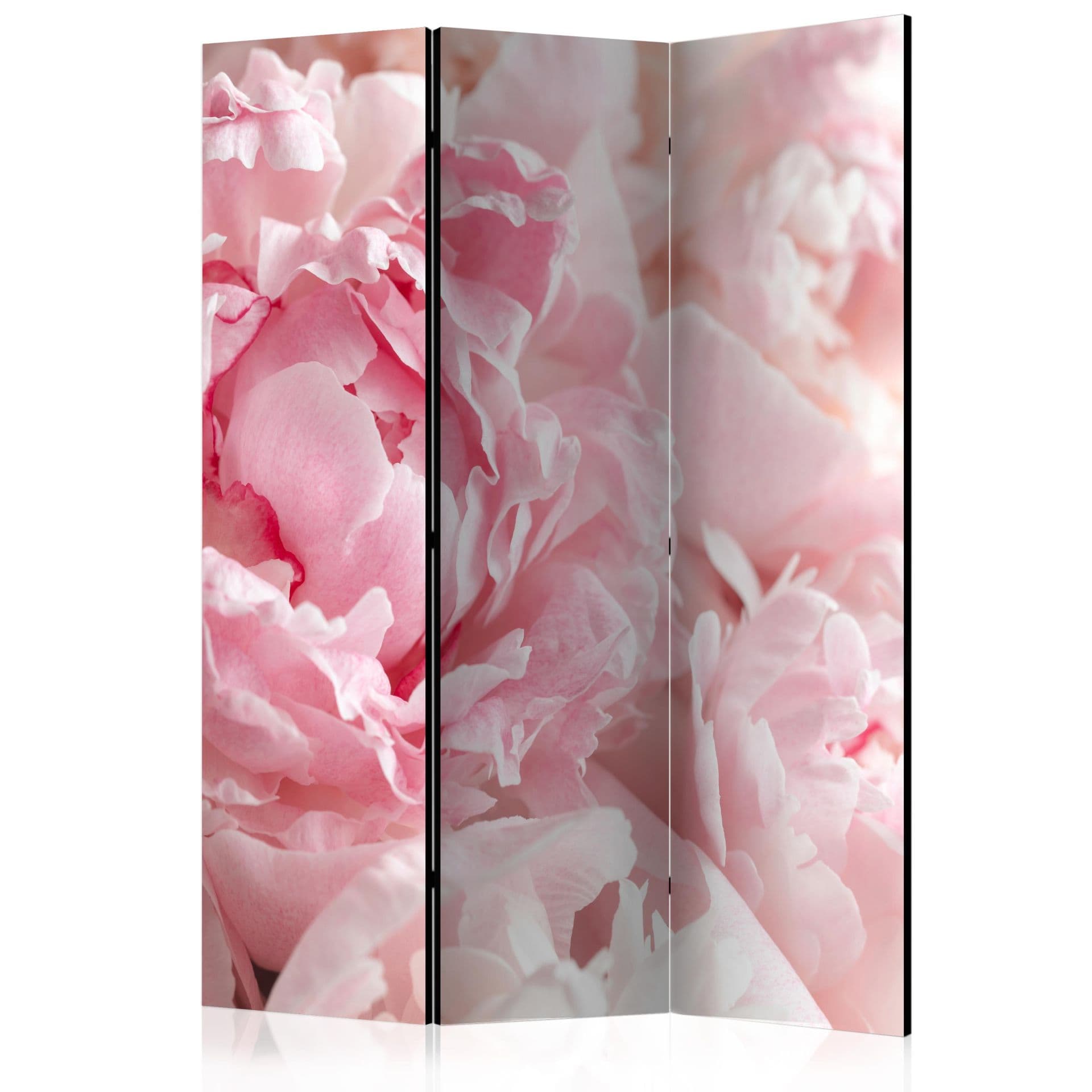 Divisorio - Peonie dolci, 3 pezzi