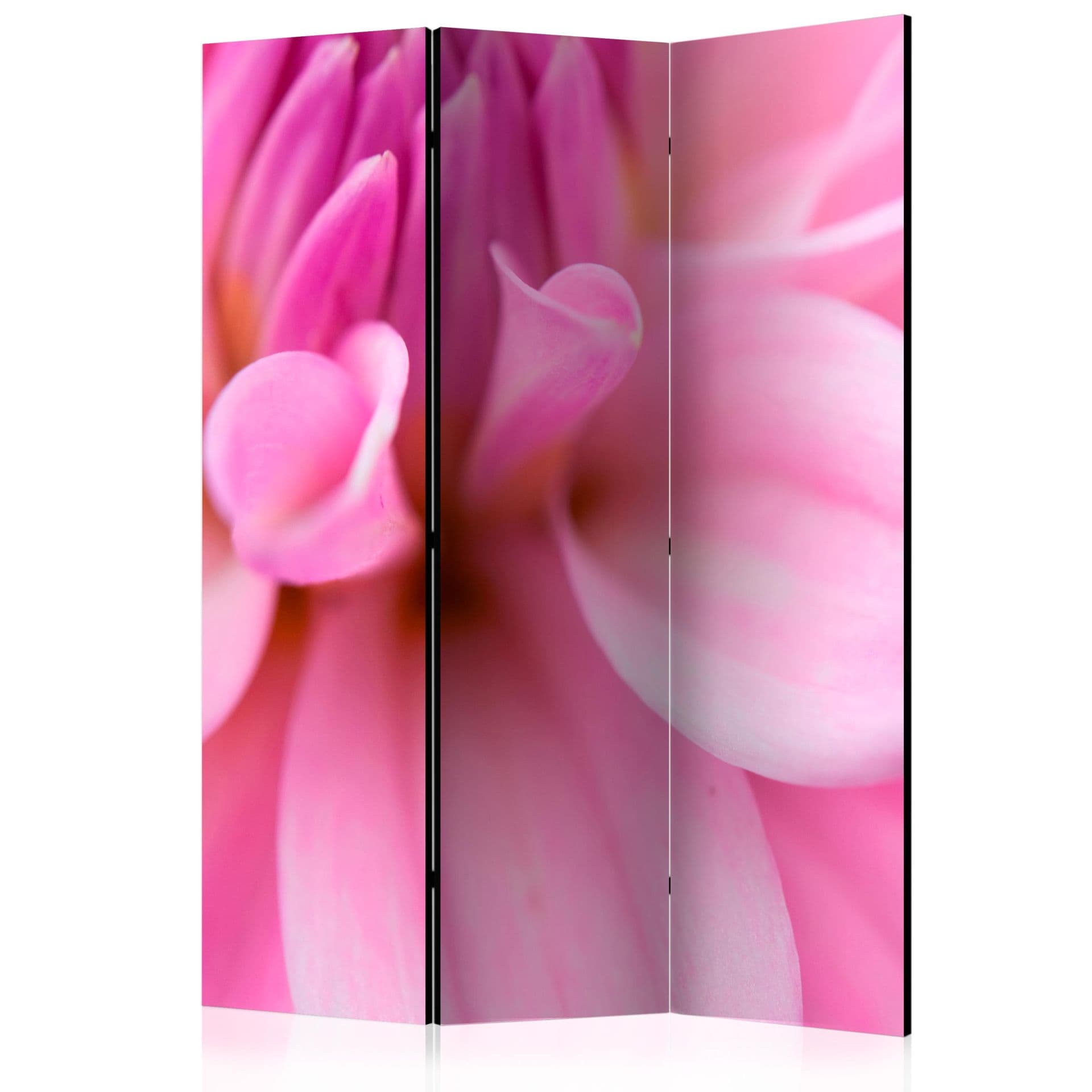 Divisorio per sala - Petali - Dalia, 3 pezzi