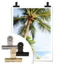 Poster - Palme 07