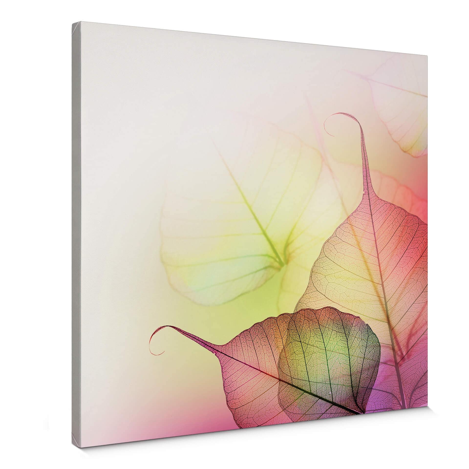 Stampa su tela - Pink Design