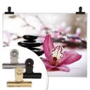 Poster - Orchidea