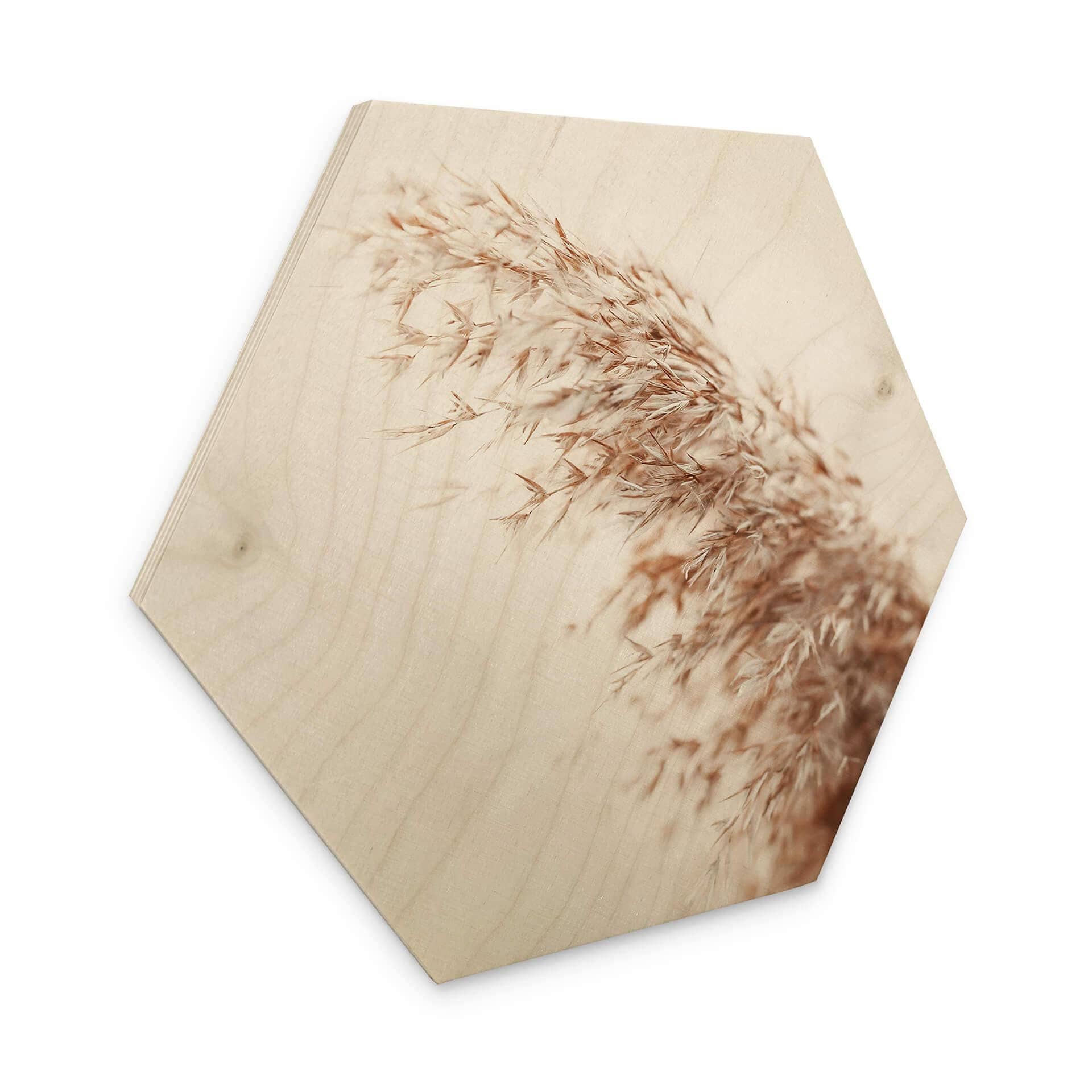 Esagono in legno Pampasgras