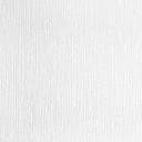 Architects Paper - carta da parati in TNT verniciabile Pigment ECO colore bianco