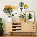 Poster Kvilis - Monstera foglia