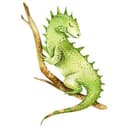 Adesivo murale Kvilis - Iguana