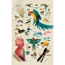 Fotomurale Braun - Birds