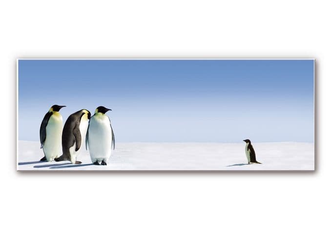 Stampa su Forex - Pinguini - panoramica