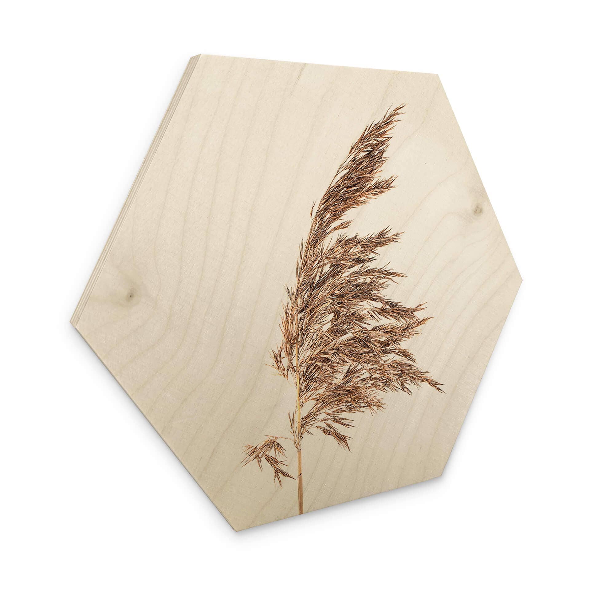 Esagono in legno Erba ornamentale No. 2