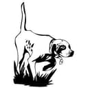 Cane da caccia 1