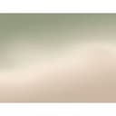 Fotomurale Ombre - Nebbia di bosco