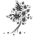 Albero 4