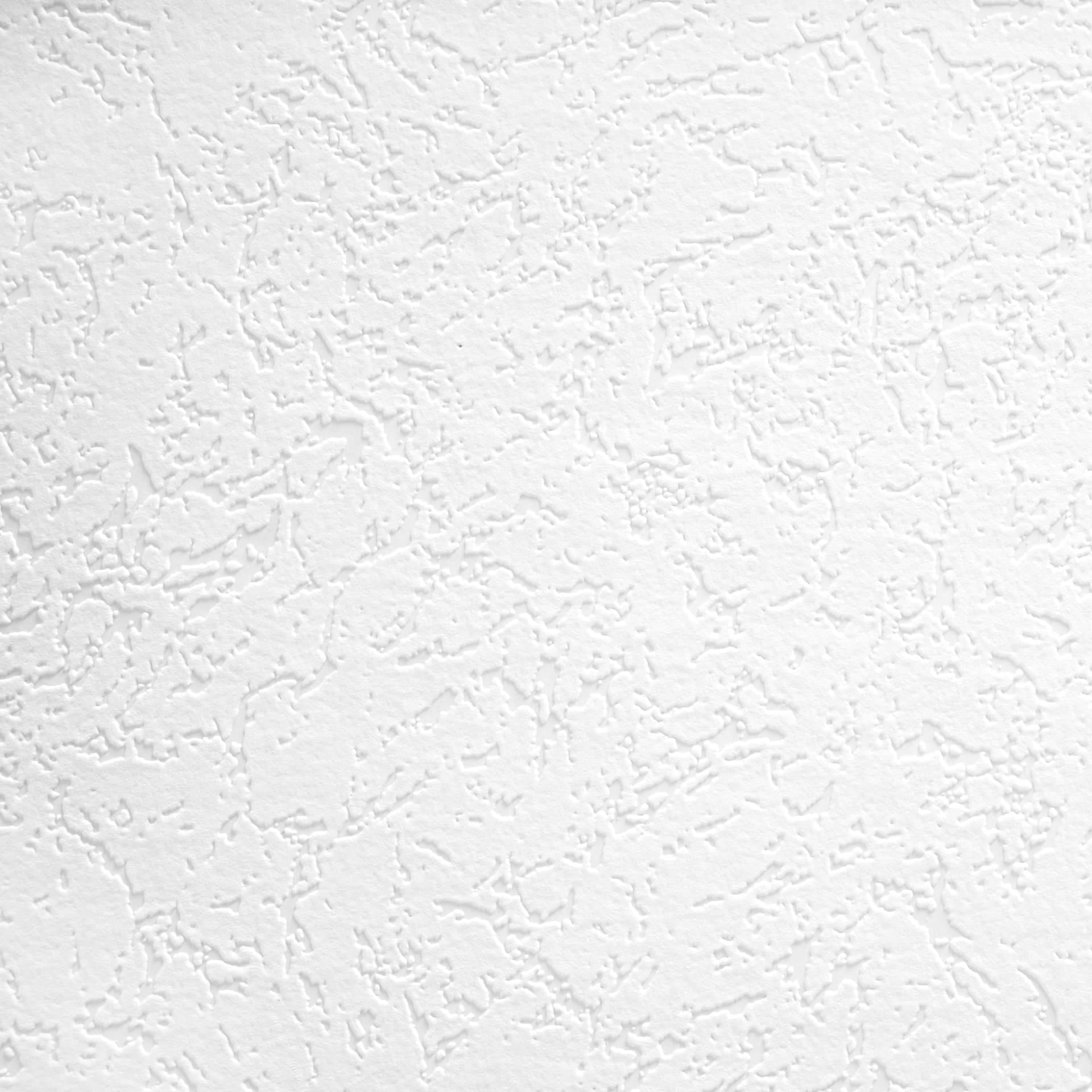 Architects Paper - carta da parati in TNT verniciabile Pigment Classic colore bianco