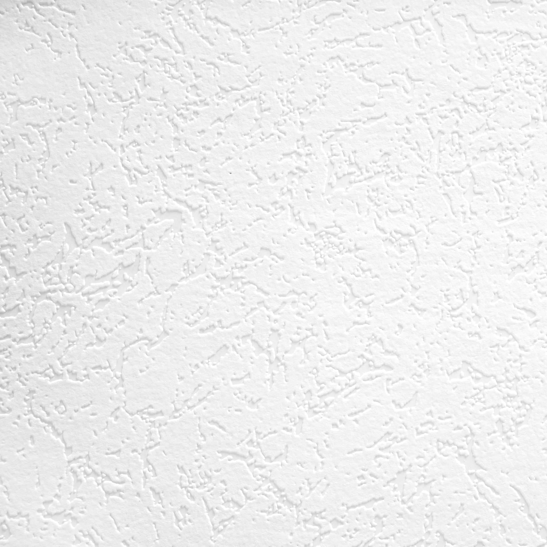 Architects Paper - carta da parati in TNT verniciabile Pigment Classic colore bianco