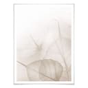Poster - Foglie delicate