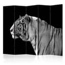 Schermo divisorio - Tigre bianca , 5 pezzi - 225x172 cm