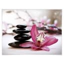 Poster - Orchidea