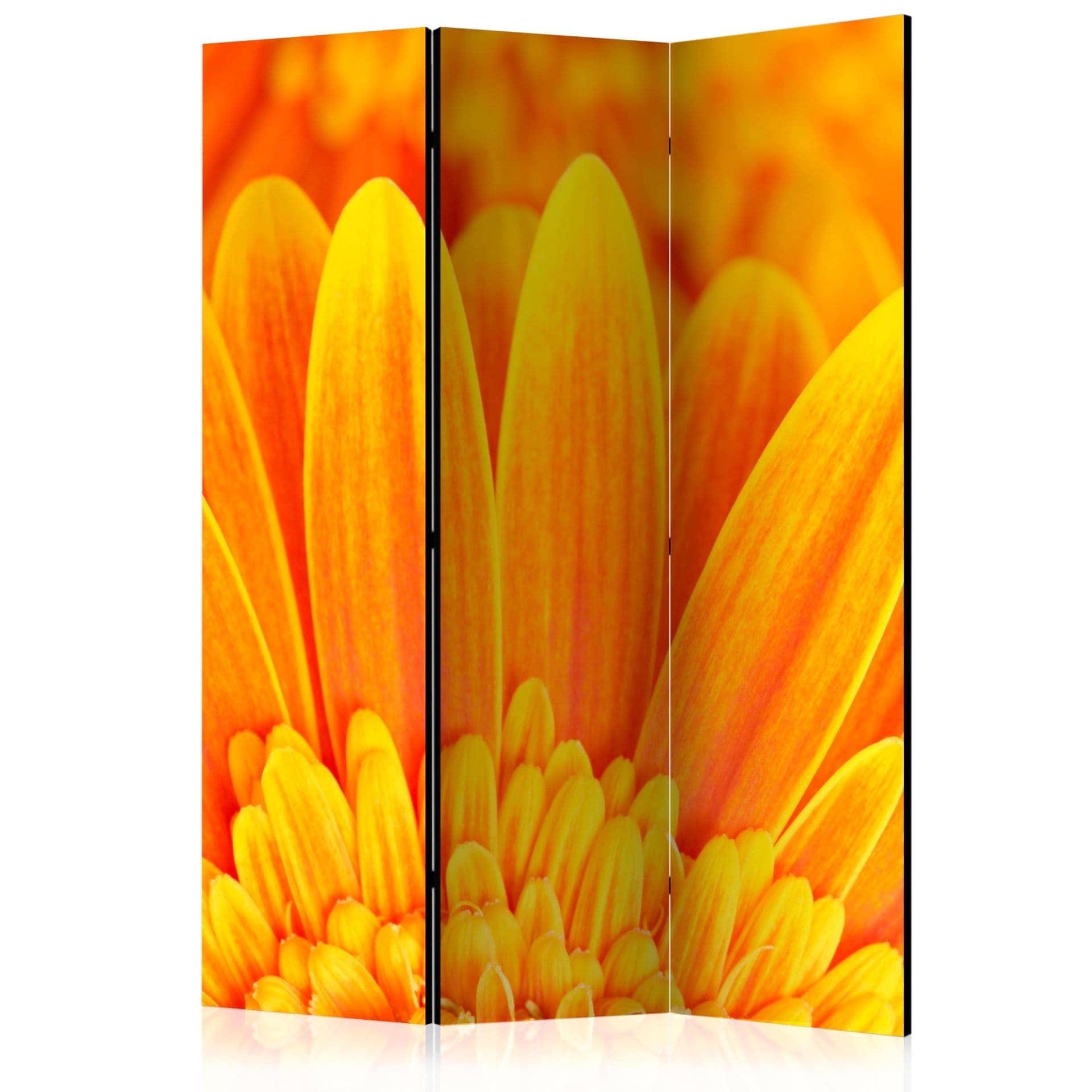 Divisorio - Gerbera gialla, 3 pezzi