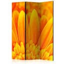 Divisorio - Gerbera gialla, 3 pezzi