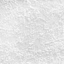 A.S. Création - carta da parati in TNT verniciabile Meistervlies Pro Protect 2, colore bianco