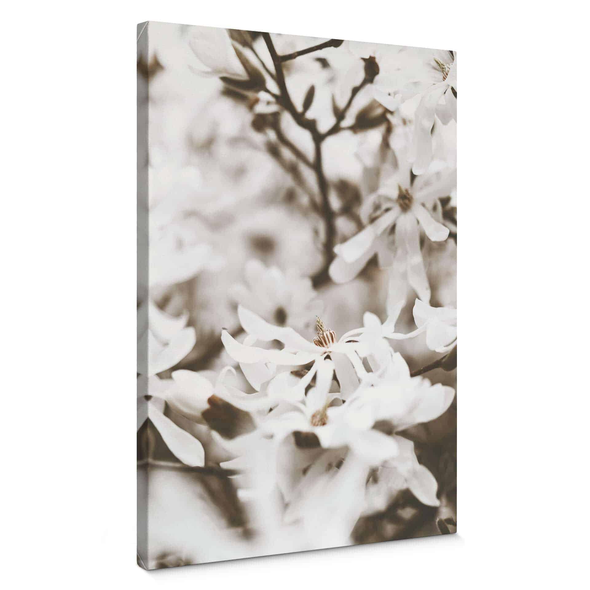 Stampa su tela Annie - Jasmin