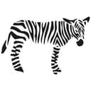 Adesivo murale - Zebra