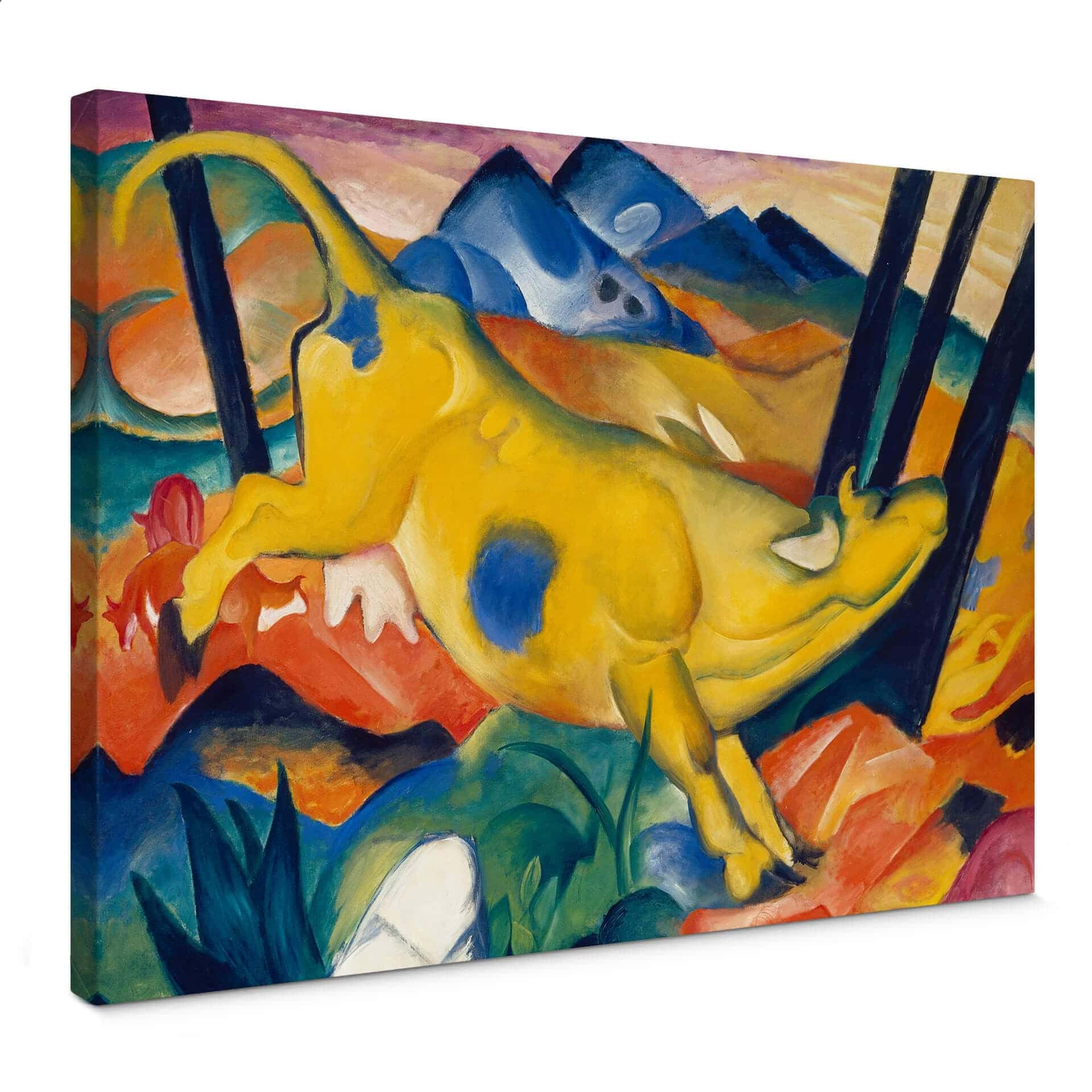 Marc – Mucca gialla