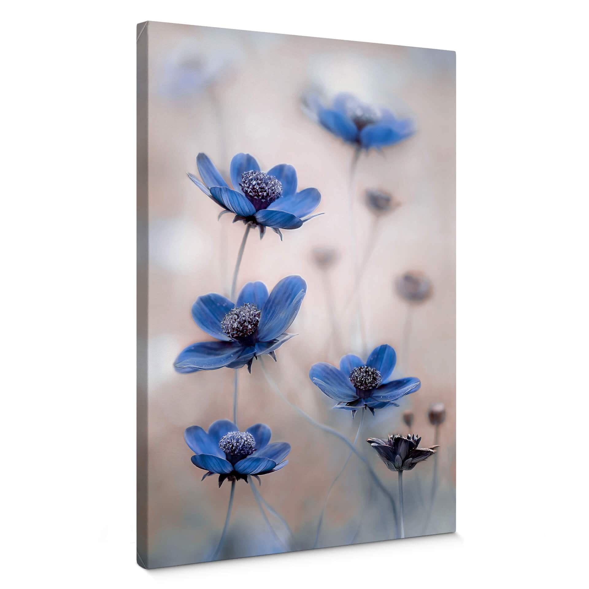 Stampa su tela Disher - Cosmee blu