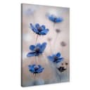 Stampa su tela Disher - Cosmee blu