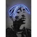 Fotomurale Mielu - 2Pac