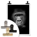 Poster - Gorilla