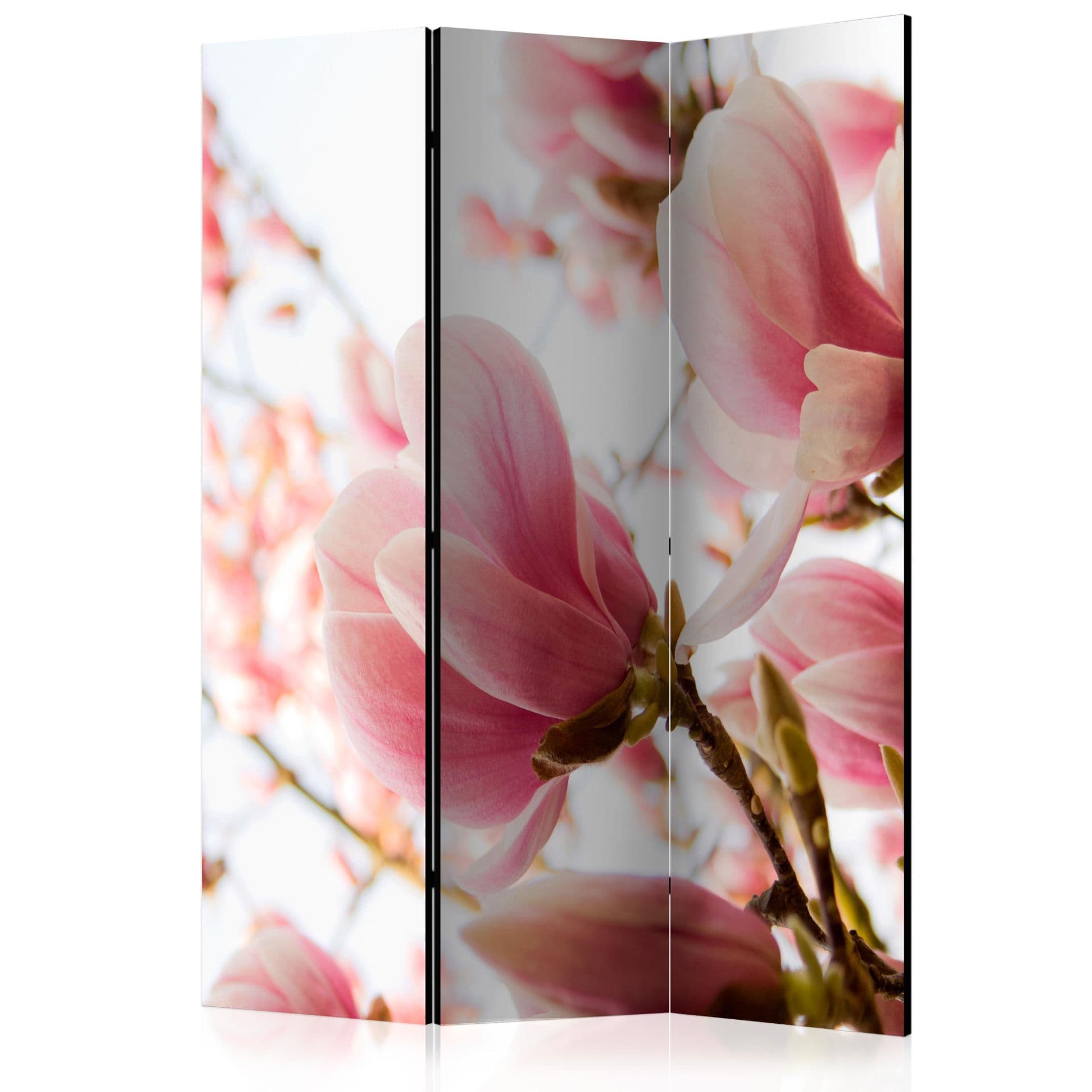 Schermo divisorio - Magnolia rosa, 3 pezzi