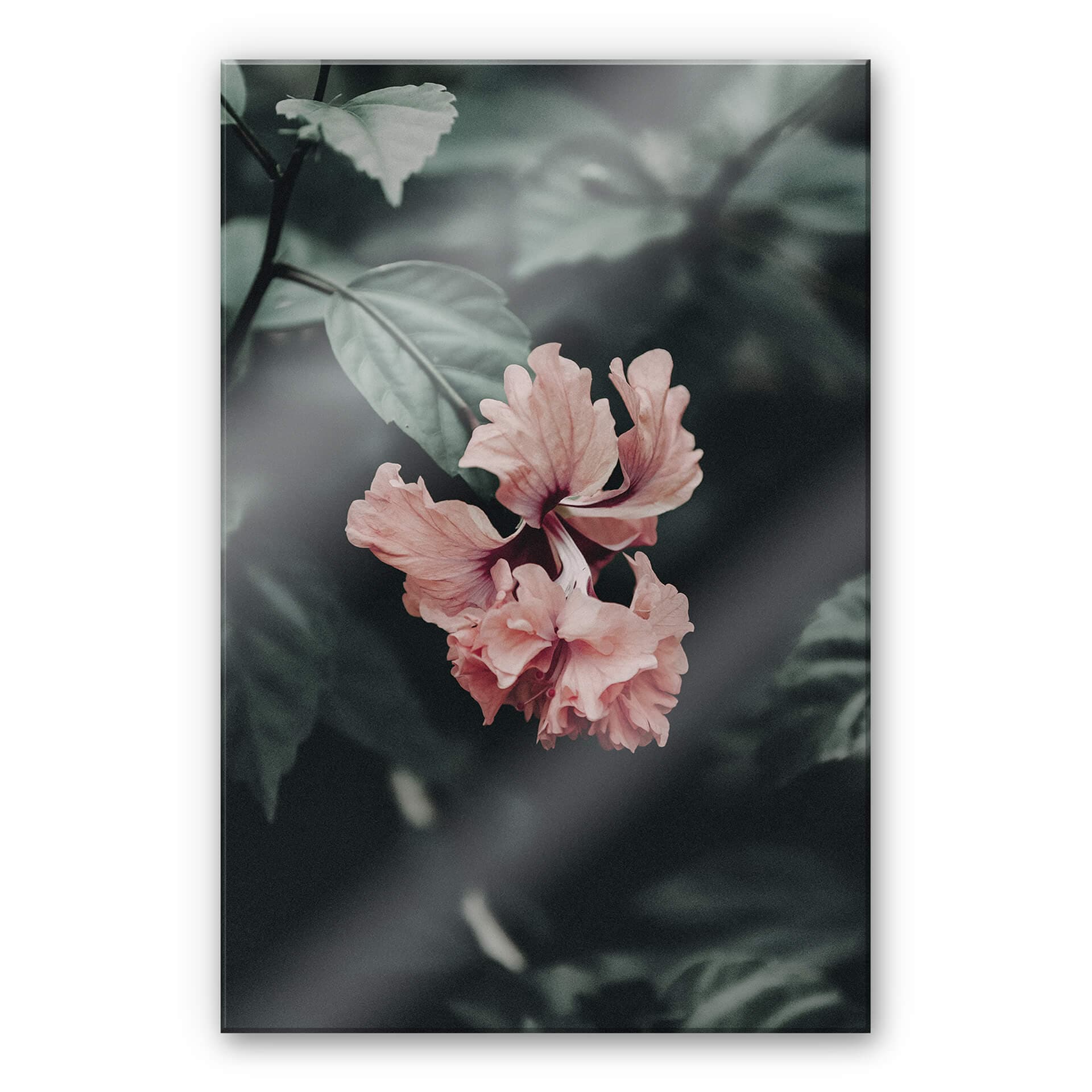 Stampa su vetro acrilico in vetro Fiore tropicale