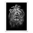Poster - Leone