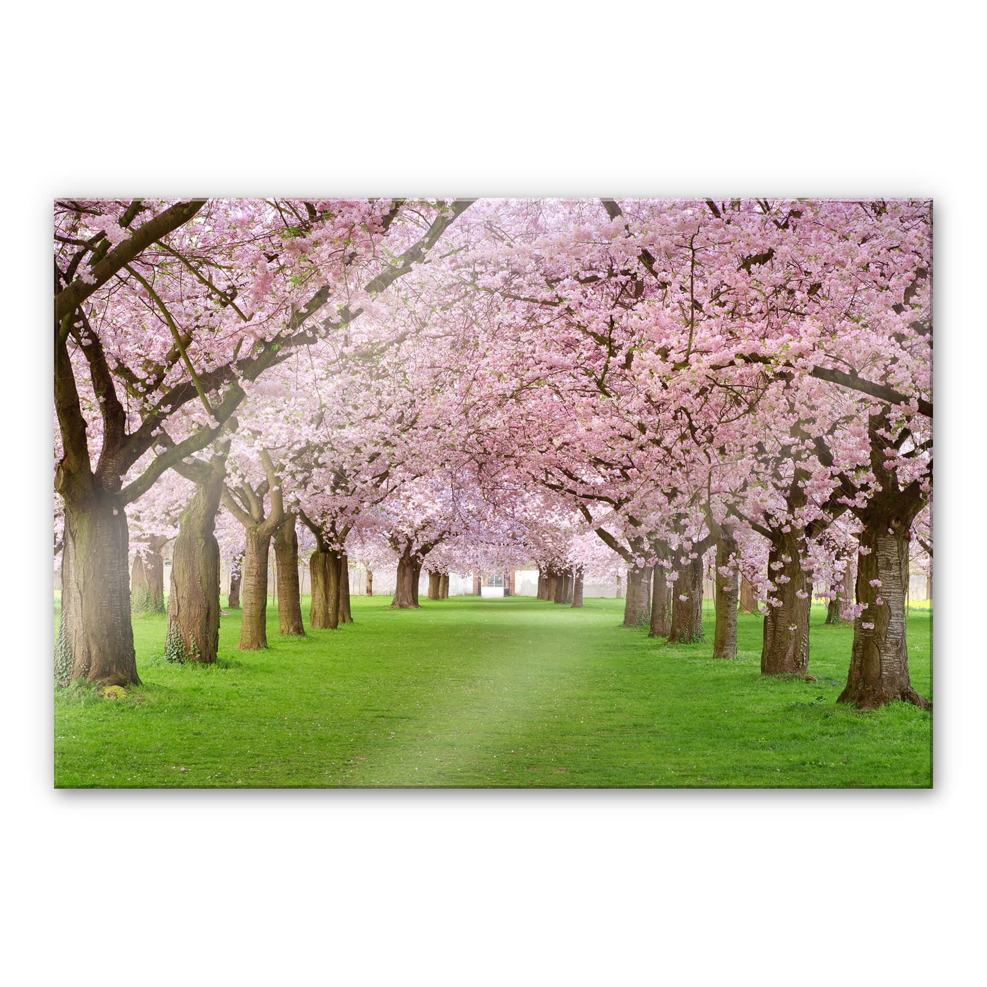 Stampa su vetro acrilico Primavera