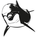 Delfino 2