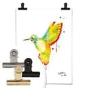 Poster Buttafly - Colibrì