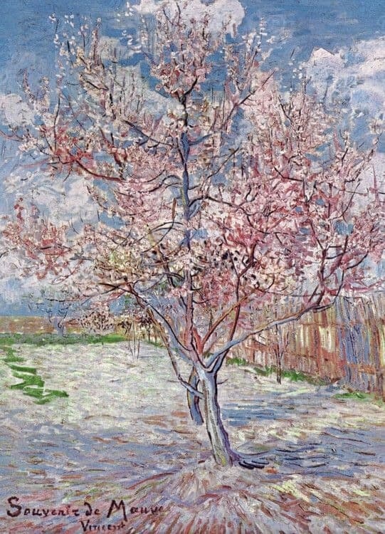 Poster Souvenir de Mauve - Pesco rosa in fiore, 1888 Stampa d'arte, Vincent van Gogh (24 x 30 cm)