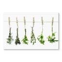 Paraschizzi - Erbe aromatiche