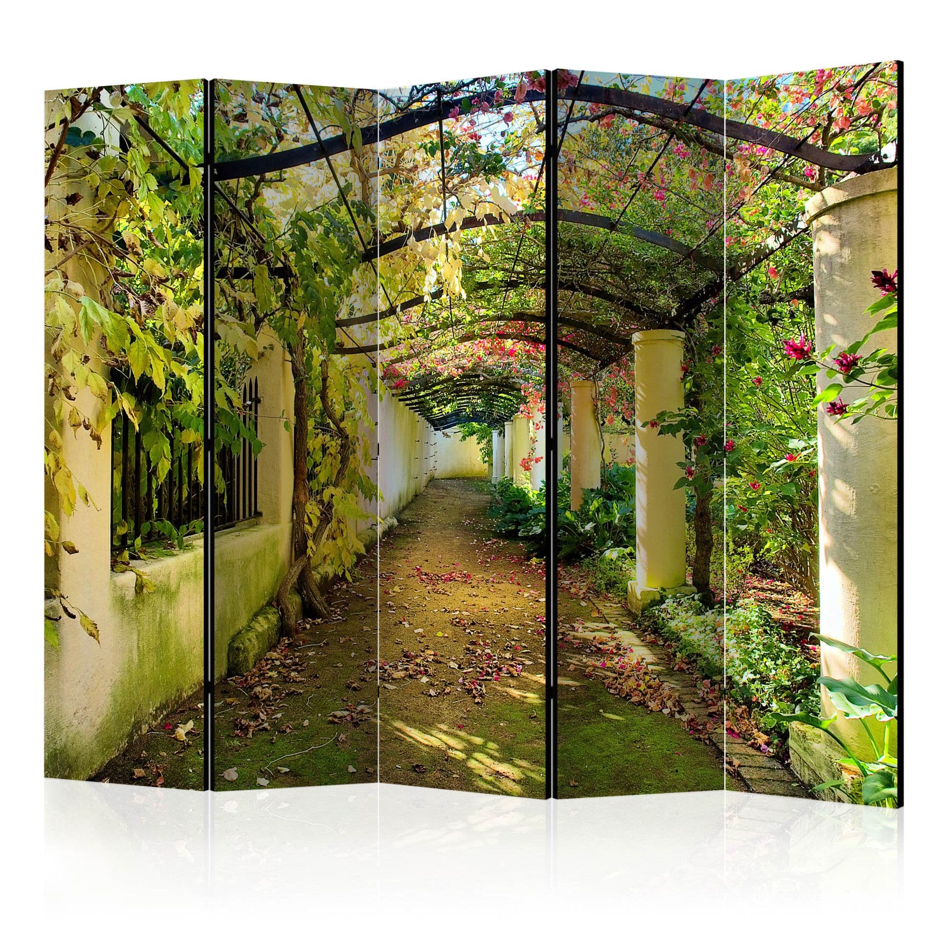 Schermo divisorio - Pergola , 5 pezzi - 225x172 cm