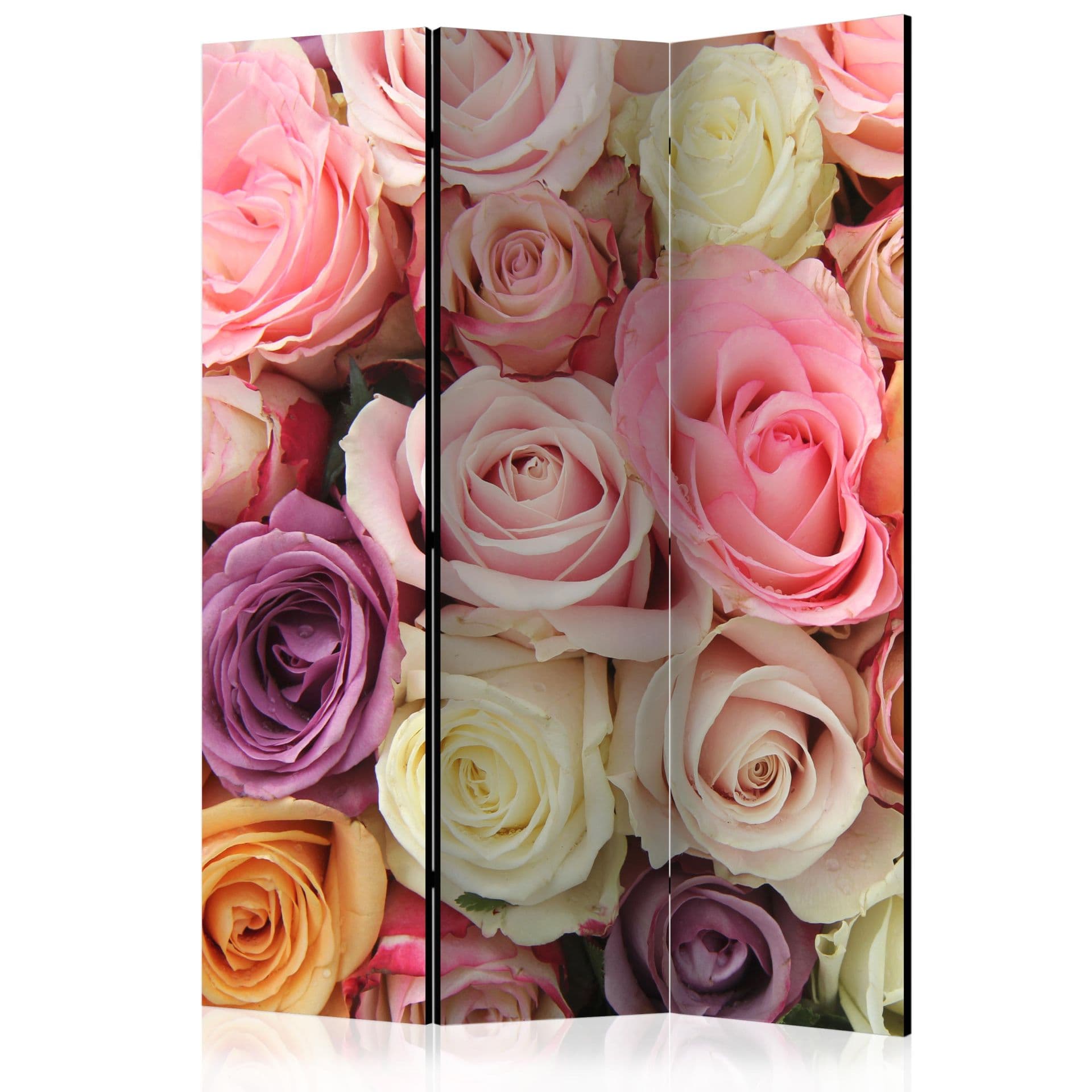 Divisorio per sala - Rose colorate, 3 pezzi