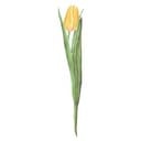 Adesivo murale Tulipano giallo