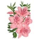 Adesivo murale - Fiori rosa