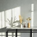 Architects Paper - carta da parati in TNT verniciabile Pigment ECO colore bianco