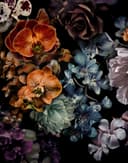 Fotomurale con motivo floreale scuro bouquet di fiori in nero con orchidee 2,7 x 2,12 m