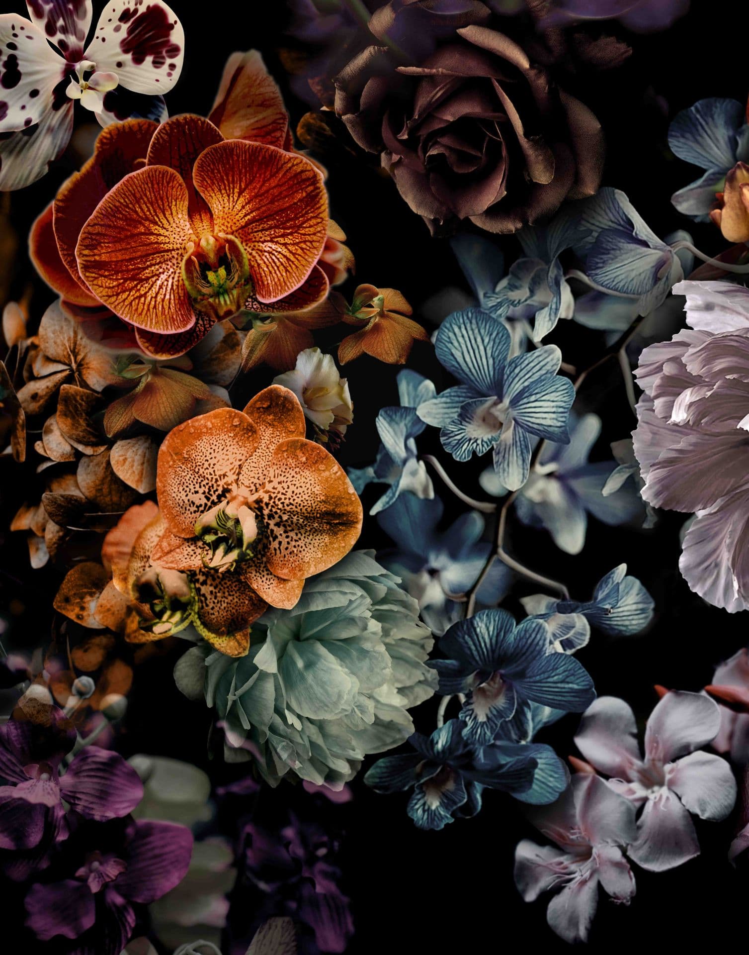 Fotomurale con motivo floreale scuro bouquet di fiori in nero con orchidee 2,7 x 2,12 m