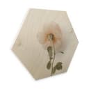 Esagoni in legno Annie - Rosa