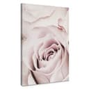 Stampa su tela 1X Studio - Rosa