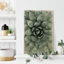 Stampa su legno Agave 02