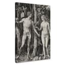 Dürer - Adamo ed Eva